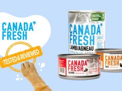 Canada Fresh Cat Food Brand Review