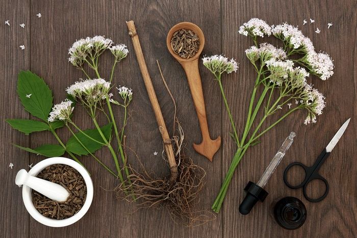 An image showcasing dried valerian root, commonly used as a herbal supplement.