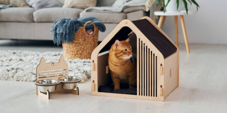 15 Tips To Help Your Cat Adjust to Your Home