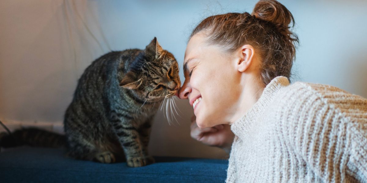 cat licking woman