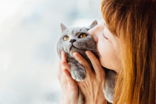 Do Cats Like and Understand Kisses?