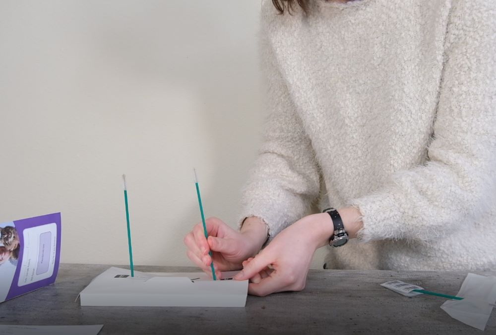 Orivet swabs