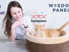 Best Cat DNA test featured image