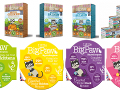 little bigpaw featured image