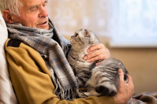 Can Cats Sense Illness In Humans?