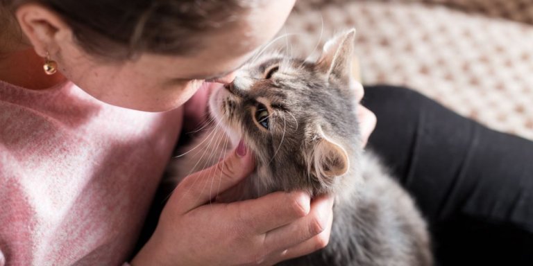 10 Ways Your Cat Is Communicating With You
