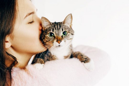 How To Make A Cat Feel Safe In 10 Simple Steps