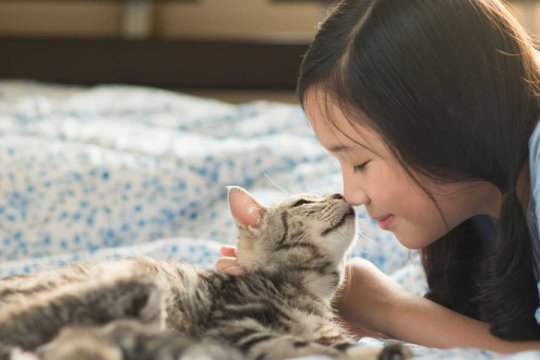 Why Does My Cat Lick My Face? Top 7 Reasons