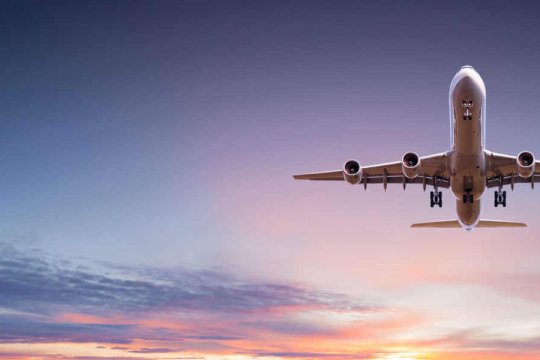 Should I Board My Cat Or Leave Them At Home?