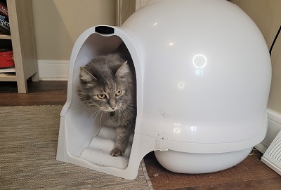 Petmate Booda Dome Cleanstep Cat Litter Box