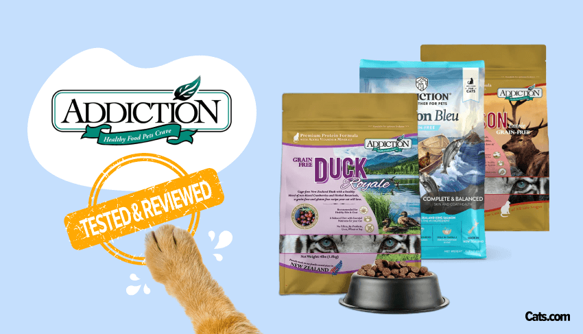 Addiction Cat Food products