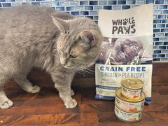 A close-up of a cat joyfully playing with a 'Whole Paws' brand cat foods