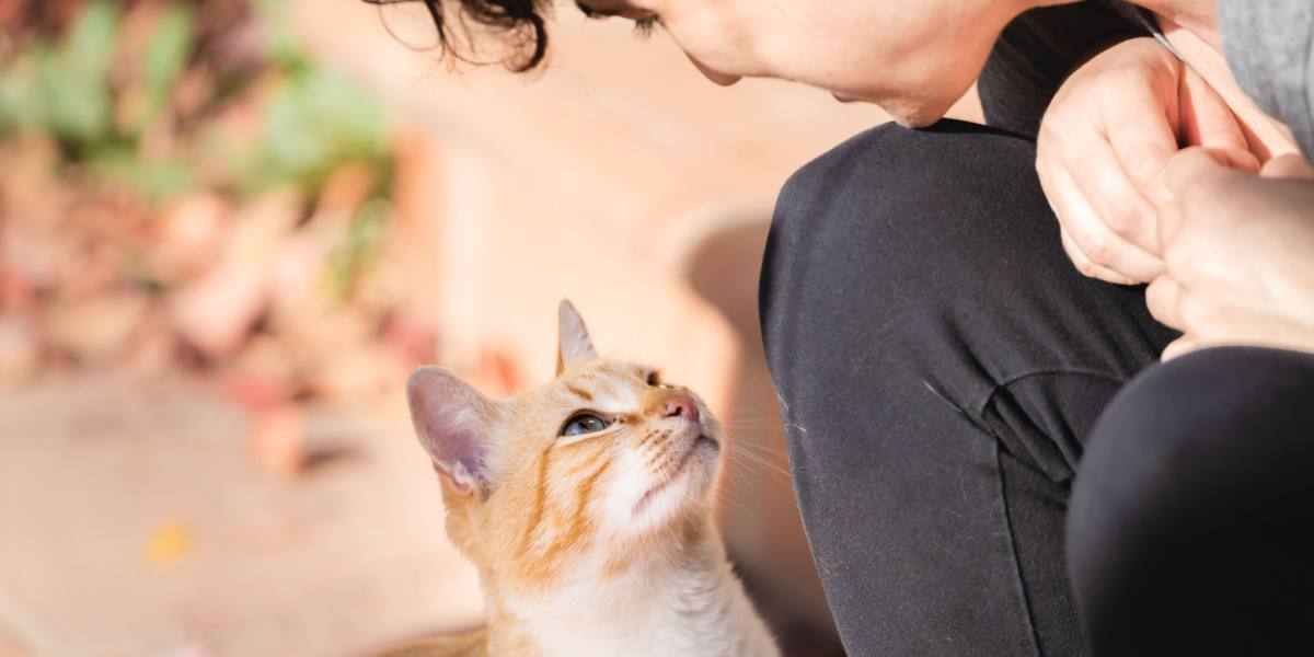 Young cat caregiver lovingly looking