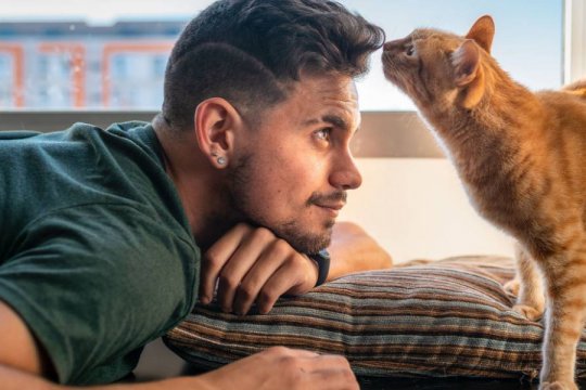 The 7 Most Common Mistakes Cat Owners Make (A Vet’s Perspective)