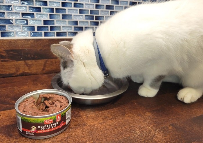 Ashland Farms Beef Dinner in Gravy Wet Cat Food