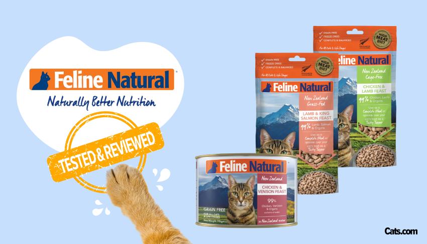 Brand Review - Feline Natural