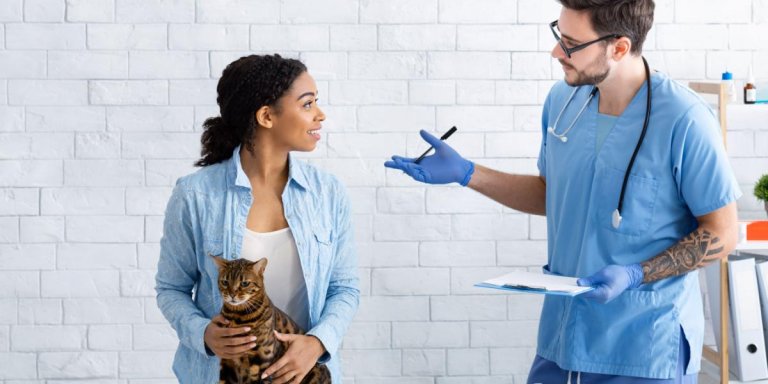 What If You Can’t Afford Veterinary Care For Your Cat? You Have Options