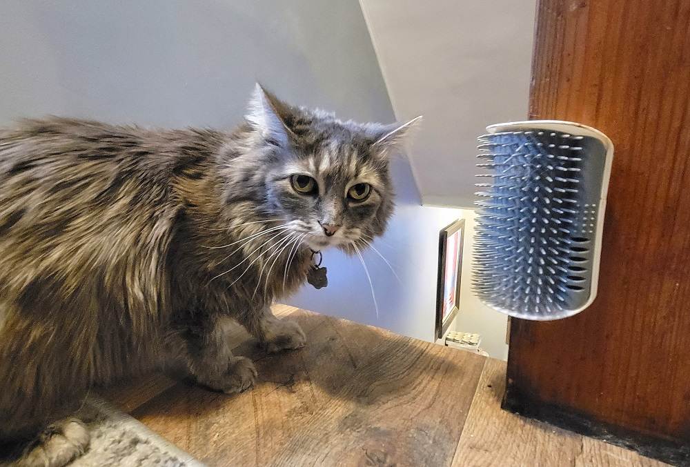 Catit Senses 2.0 Self-Groomer Cat Brush