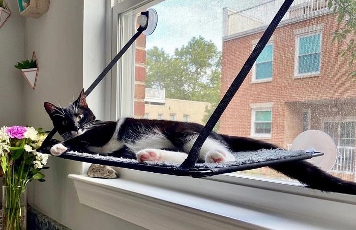 K&H Pet Products EZ Mount Cat Window Perch