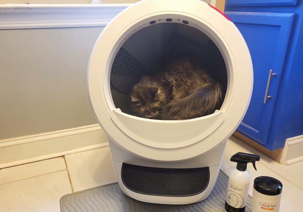 Litter-Robot 4 with cat inside