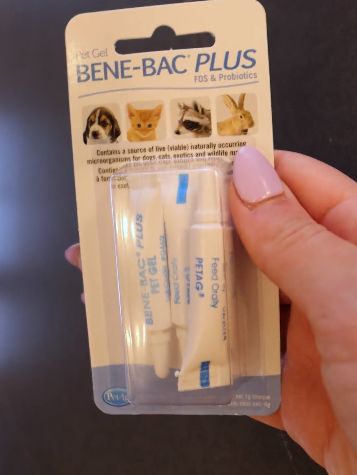 Benebac Plus Probiotic Pet Gel