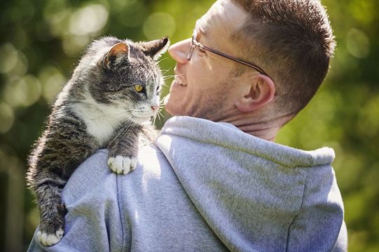 Why Isn’t My Senior Cat Using the Litter Box?