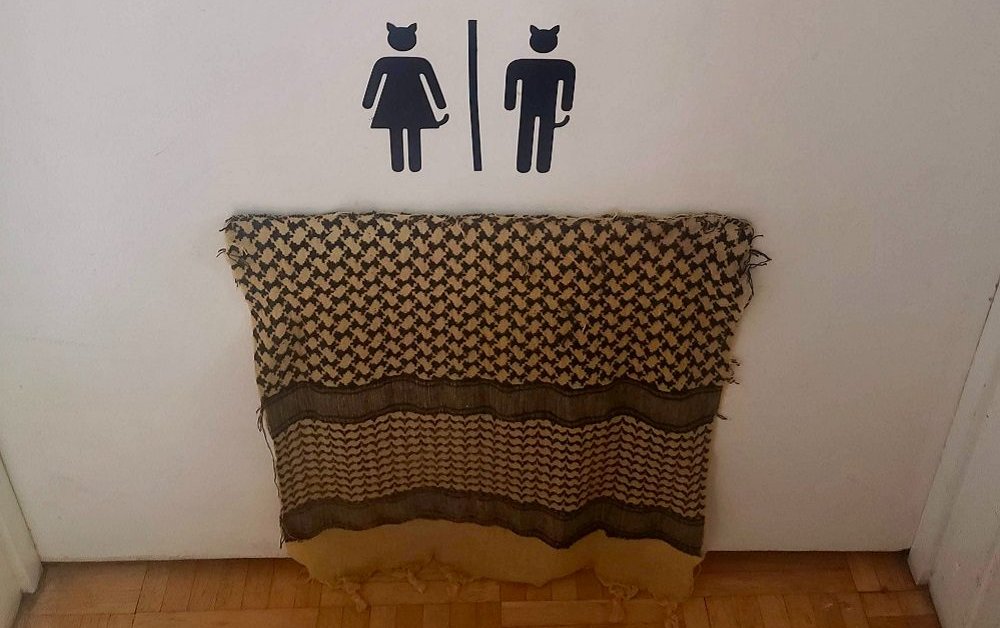 humorous cat bathroom decals on door