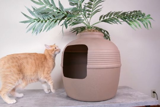 10 Simple Ways To Hide the Litter Box