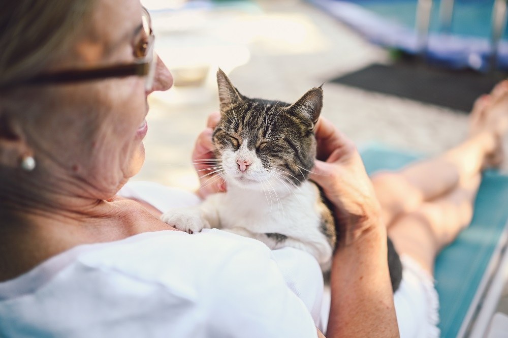 Happy senior woman hugging domestic tabby cat