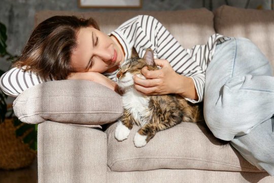 Can Cats Sense Anxiety and Depression in Their Owners?
