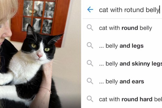 No One Believed Her Intuition—Until It Saved Her Cat’s Life